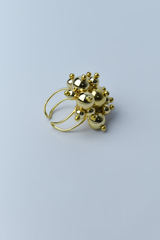 ANILLO LUNA