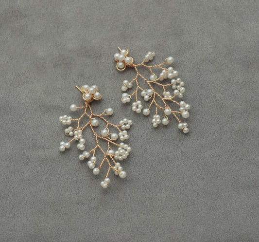 ARETES ZIA